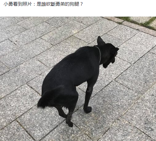 【热销榜首】linkfox会员卡价格怎么充值优惠最大